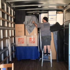 Photo of Vector Moving