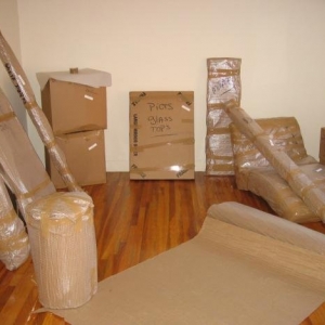 Photo of Denver Local Movers