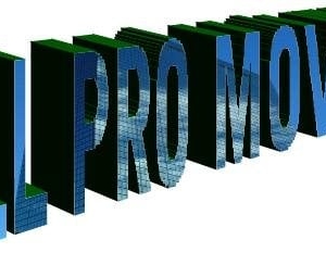 Photo of All Pro Moving And Storage LLC