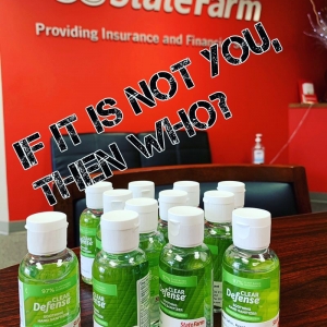 Photo of Nese Sahin - State Farm Insurance Agent