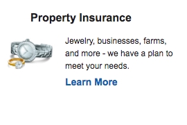 Photo of Joey McQueeney - State Farm Insurance Agent