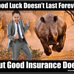 Photo of Stellar Insurance Agency