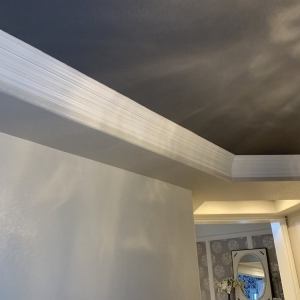 Photo of Specialized Construction Services