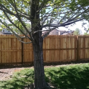 Photo of C & R Restoration Services