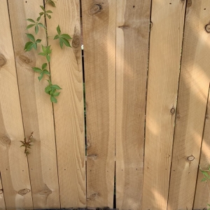 Photo of All Year Fencing