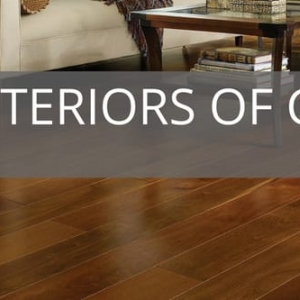 Photo of Interiors of Colorado