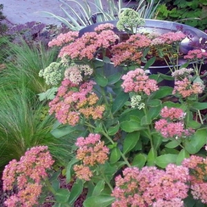 Photo of Reber Landscape Architecture