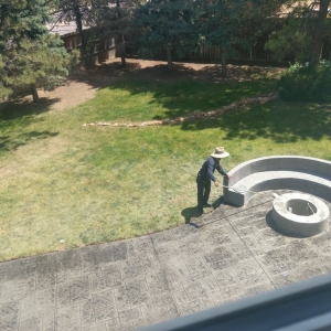 Photo of Absolute Property Improvement