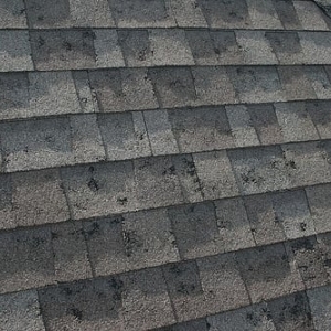 Photo of Exterior Experts