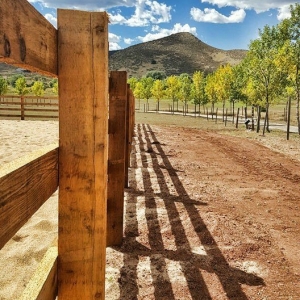 Photo of Timberland Fence, Lawn, and Landscape