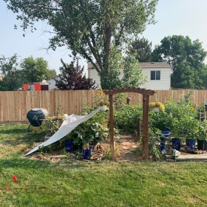 Photo of Sturdy Fencing
