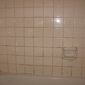 Photo of The Grout Medic of Northern Colorado and Denver North