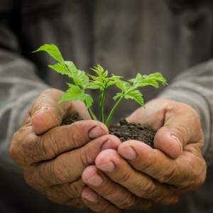 Photo of National Grow Technologies