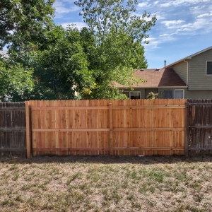Photo of Broken Fences
