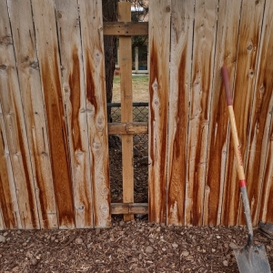 Photo of Broken Fences