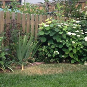 Photo of True Grit Custom Landscape & Design