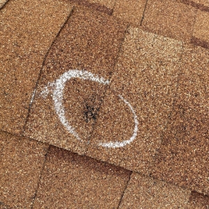 Photo of Precision Exteriors Restoration