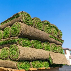 Photo of Denver Landscaping and Design