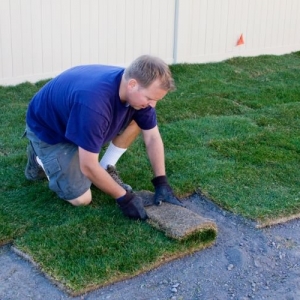 Photo of Denver Landscaping and Design