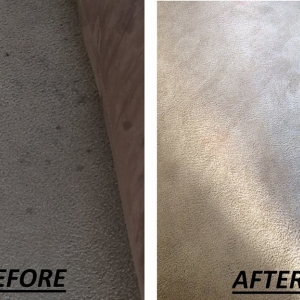 Photo of Legacy Cleaning Solutions