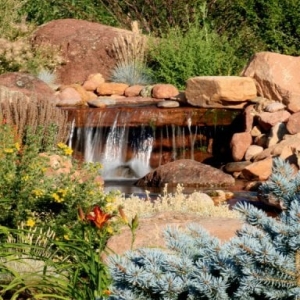 Photo of Associated Landscape Contractors of Colorado
