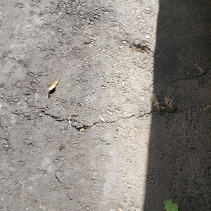 Photo of HH Asphalt Paving
