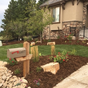 Photo of Daniel's Landscape & Design