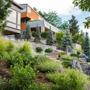 Photo of Environmental Designs
