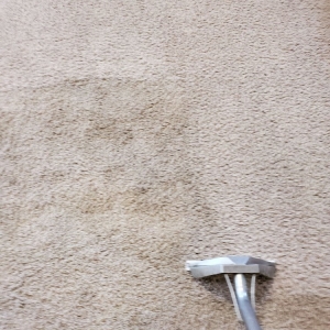 Photo of TLC Carpet & Air Duct Cleaning