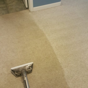 Photo of Steve's Carpet Care