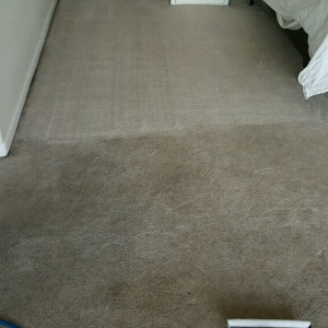Photo of Steve's Carpet Care