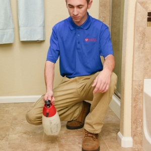 Photo of Angie's Carpet Care