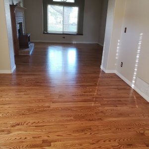 Broomfield Floor Visions