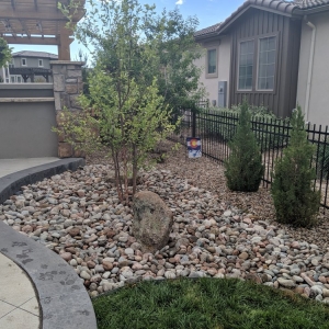 Photo of Denver Patios and Landscape