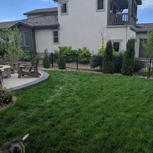 Photo of Denver Patios and Landscape