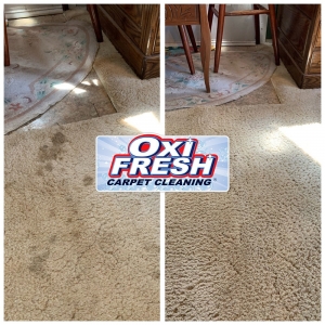 Photo of Oxi Fresh Carpet Cleaning