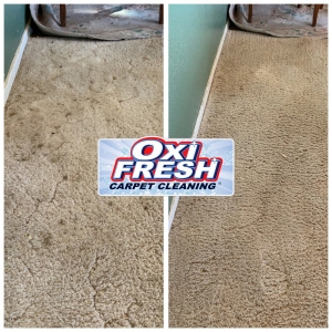 Photo of Oxi Fresh Carpet Cleaning