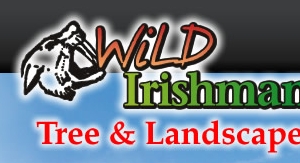 Photo of Wild Irishman Tree and Landscape