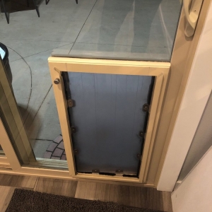 Photo of Through the Glass Dog Doors