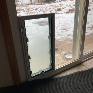 Photo of Through the Glass Dog Doors