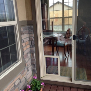 Photo of Through the Glass Dog Doors