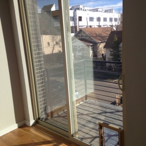Photo of Through the Glass Dog Doors