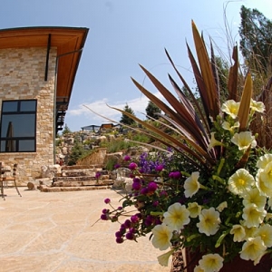 Photo of Weston Landscape & Design