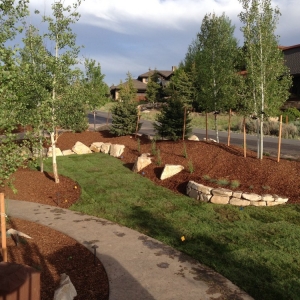 Photo of J & P Landscaping