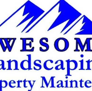 Broomfield Awesome Landscaping