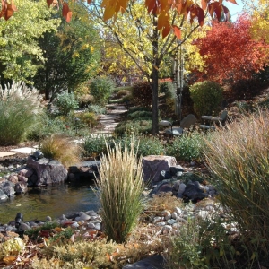 Photo of Autumn Gold Landscapes