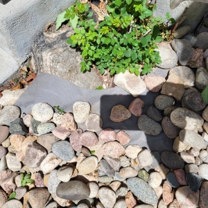 Photo of Renovations Landscaping