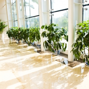 Photo of Denver House Cleaning Service