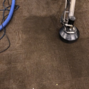 Photo of Team Carpet Care