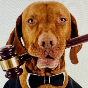 Photo of The Piccone Law Firm